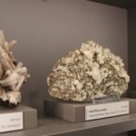 Visita Tecnica: “Visita guidata presso il GeMM Museo Geo-Mineralogico del Politecnico di Torino"