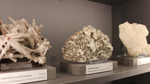 Visita Tecnica: “Visita guidata presso il GeMM Museo Geo-Mineralogico del Politecnico di Torino"